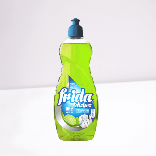 Frida – Dishwashing Liquid 600g Mint X 12 st